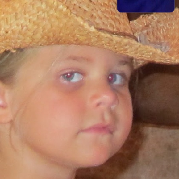 Meet your Posher, Gracie - Picture 1 of 1